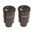 Oculairpaar 10x (20mm)