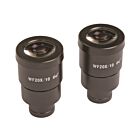 Oculairpaar 20x (10mm)